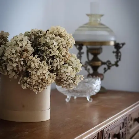 Sunny House Apartament